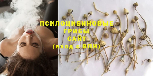 MDMA Каменногорск