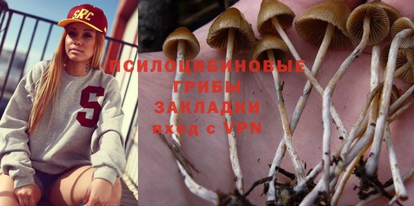 MDMA Каменногорск