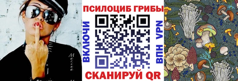 Купить где  Дальнереченск  Галлюциногенные грибы Magic Shrooms 